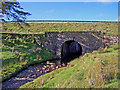 Old and new bridges