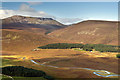 NO2985 : Allt-na-guibhsaich below Lochnagar by Nigel Corby