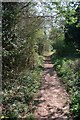 Berengrave Local Nature Reserve