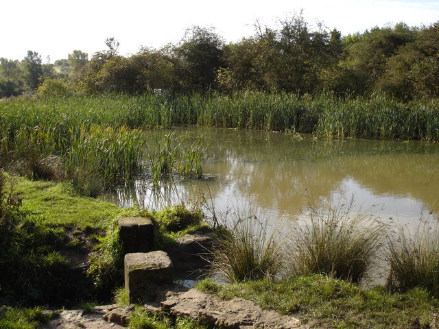 Pond near Linby Village © Oxymoron cc-by-sa/2.0 :: Geograph Britain and ...