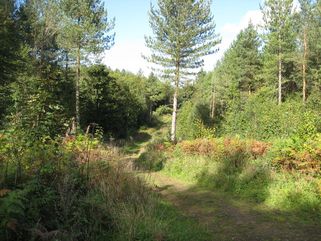 Scarcliffe Park Footpath Approaching © Alan Heardman Geograph Britain And Ireland 5188