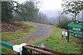 Forest track at Ffynnon Dwym