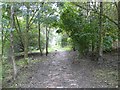 Hollingworth Footpath