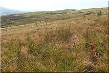 SO0105 : South-western slope of Mynydd Aberdare by Graham Horn