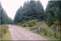 SO0502 : In Mynydd Gethin forest by Graham Horn