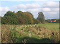 Field towards the river Gipping, Creeting St Mary beyond