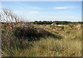 Path through the dunes