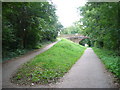 Bridge over New Lipchis Way