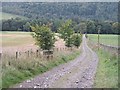 Road from Calfshaw