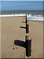TG4624 : The skeleton of a groyne by Evelyn Simak