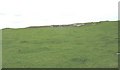 A disused quarry south-west of Carmel