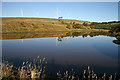 The calm waters of Torbeckhill Reservoir