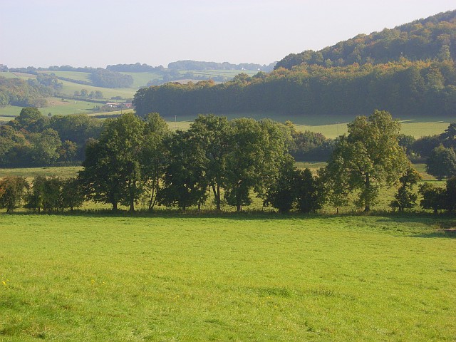 Pastures, Skirmett © Andrew Smith cc-by-sa/2.0 :: Geograph Britain and ...