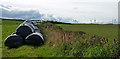 Silage Bales