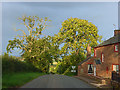 Road and house at Catterlen