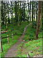 Footpath - Thorpe Lane