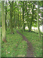 Footpath - Thorpe Lane