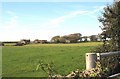 View West across farmland to Cerrig-Cafael Farm