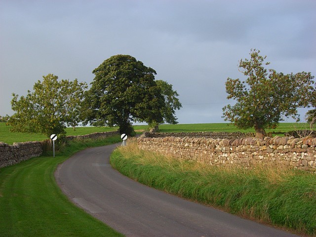 Road at Newton Reigny