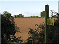 Footpath to Brierymere