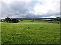 Lush Fields, Mid-Gavin Farm