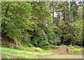 Wooded disused quarry: Rhyd-y-berllan, Troed-yr-aur