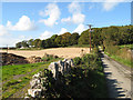 Road to Rhyd-y-foel