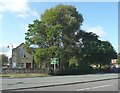 SE1422 : Town centre trees, bypass road, Brighouse by Humphrey Bolton