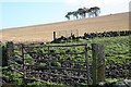 Red Hill from Corskellie