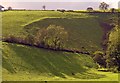 Small cwm near Fforest Cerdin, Llandysul