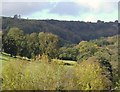 The Cerdin valley, Llandysul