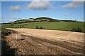 Gallow Hill from Woodfold