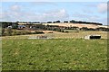 Looking Towards Auldtown of Carnousie