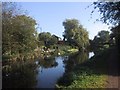 Grand Western Canal at Sampford Peverell