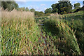 Livestock path