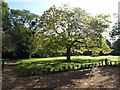 Garden, Bishops Hull house