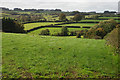 Fields south of Cwmsychbant