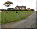 New farm near Caerau