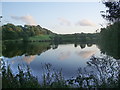 Dis-used reservoir near Park View Nursery