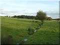 Pasture near Higher Park Farm