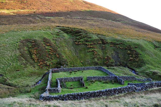 Well-preserved sheepfold