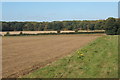 Fields looking north to Shelland Wood