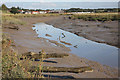 Roman River at Rowhedge